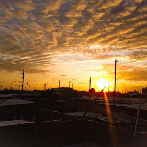 J.y_20200411_181317_146 (1)